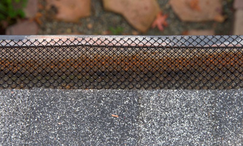 Gutter Guard Replacement in Redmond, WA