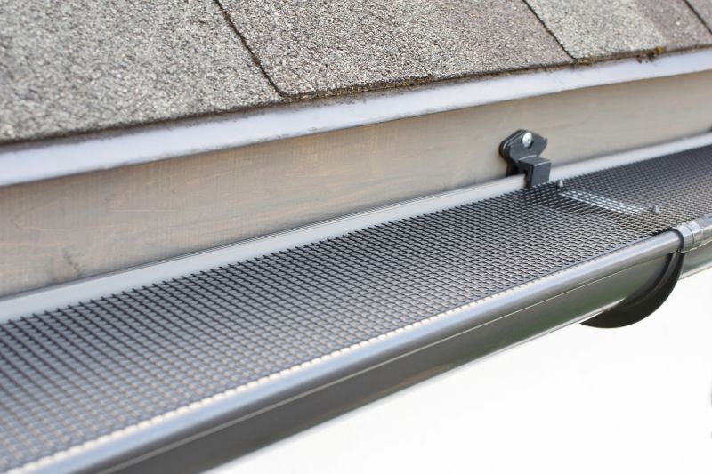 Gutter Mesh Installation in Redmond, WA